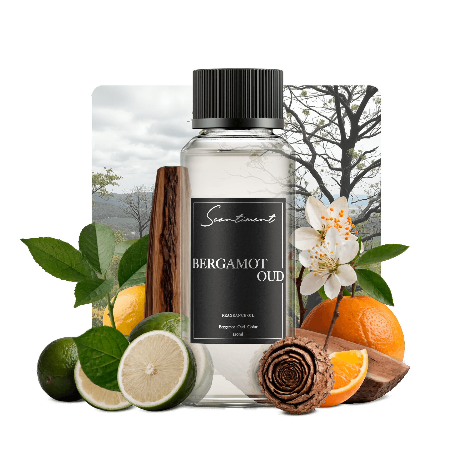 Bergamot Oud