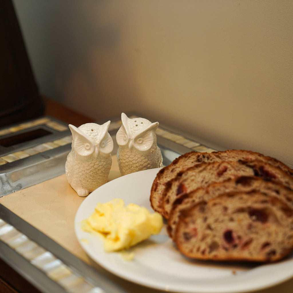 Fox Run Mini Ceramic Owl Salt and Pepper Shakers, Set of 2