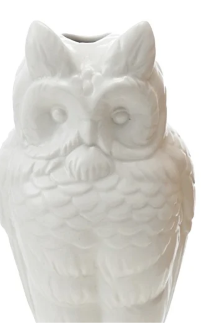 owl.png