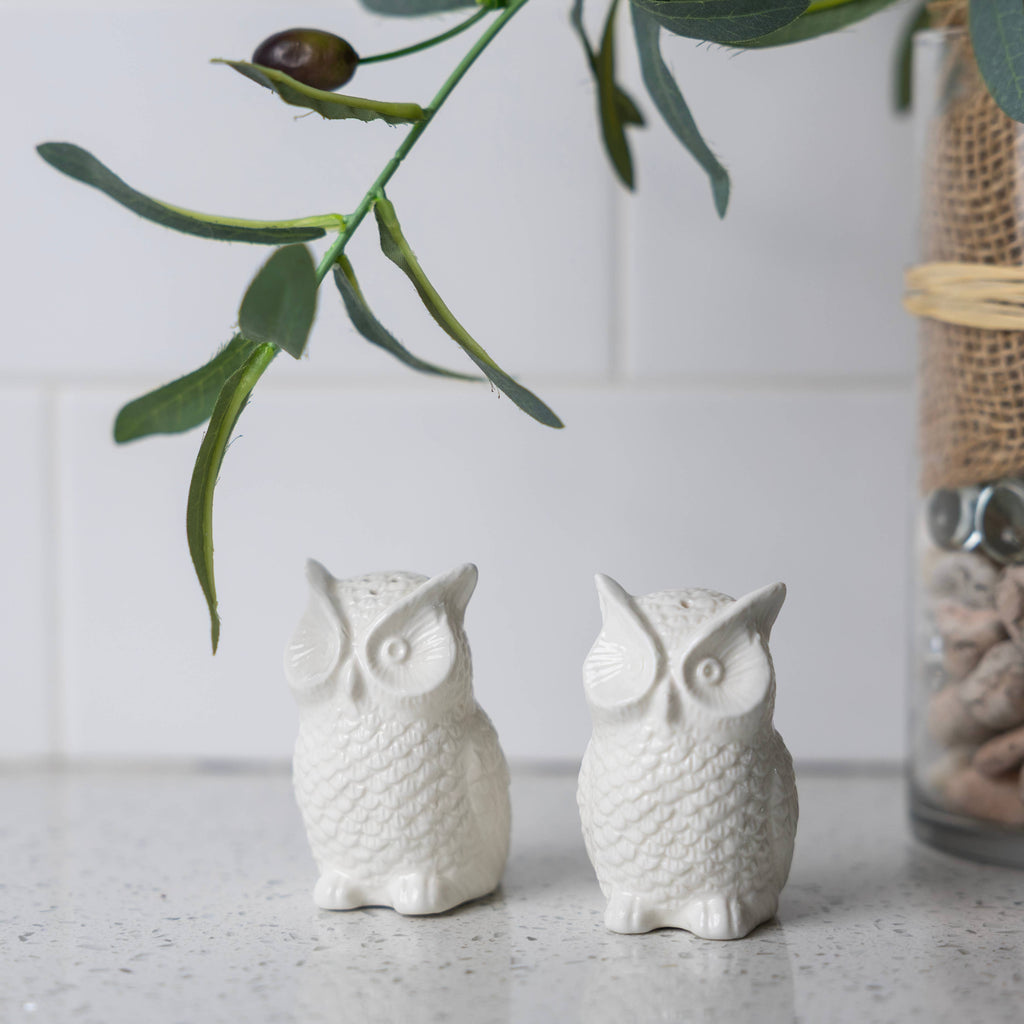 Fox Run Mini Ceramic Owl Salt and Pepper Shakers, Set of 2