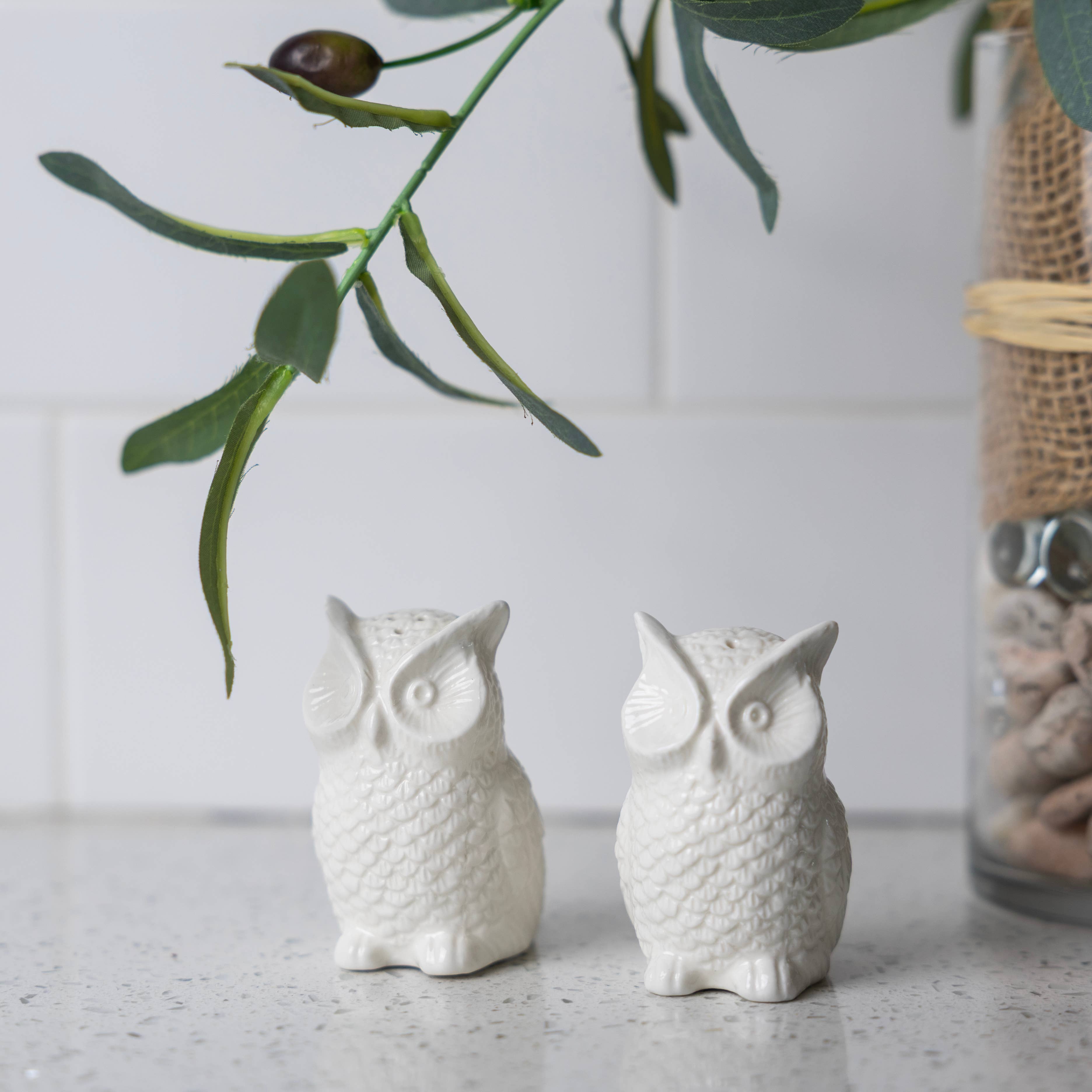 Fox Run Mini Ceramic Owl Salt and Pepper Shakers, Set of 2