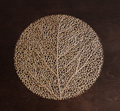 2854_VIDA Coral Round Placemats Set of 4 Gold.png