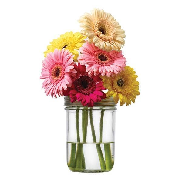 Jarware Flower Grid for Wide Mouth Mason Jar