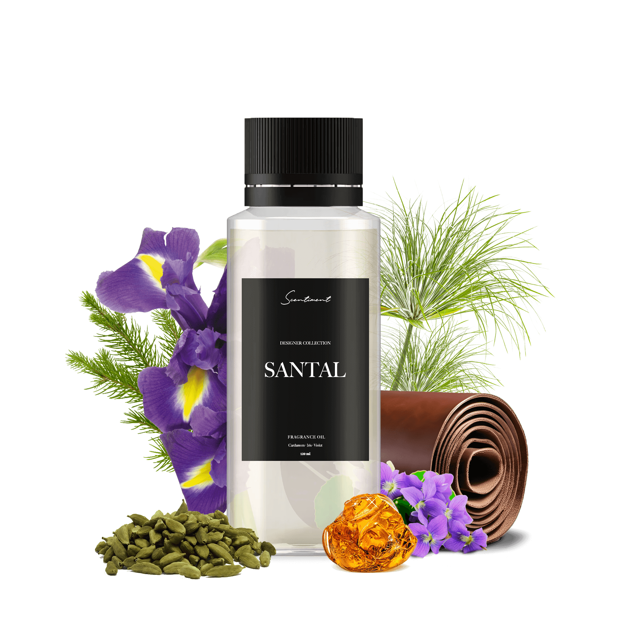 Santal - Enchanting Eau de Toilette Perfume